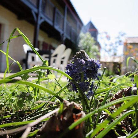 Au Repos Des Elfes Villa Braye-sous-Faye Eksteriør billede